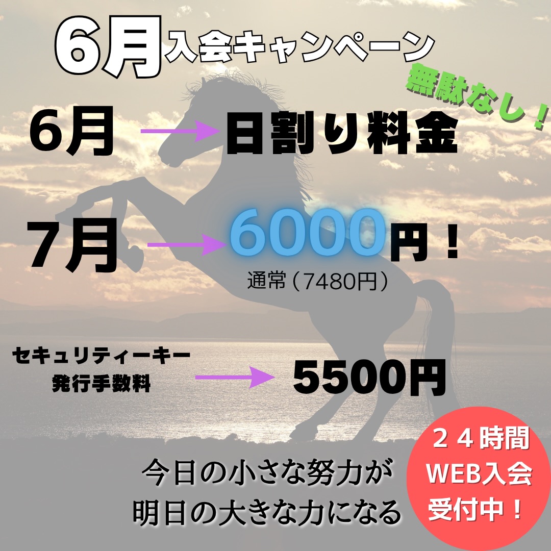 タイムセール！1本無料プレゼント！実質4本で24000円！→23000円！ タイムセール！1本無料プレゼント！実質4本で24000円！→23000円